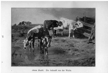 The Arrival from the Pasture